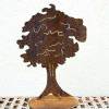 Baum Pinto