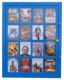 DVD Fensterpaneel
