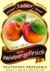 Roter Weinbergpfirsich Edellikör