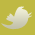 twitter - andrea carl