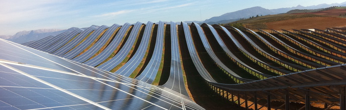 Solar_Hügel_Weinberg.JPG