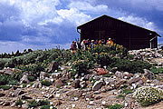 Der Brockengarten