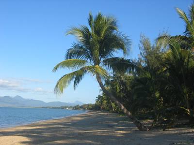 Palm Cove - Queensland.jpg
