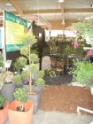 Gewerbeschau Vordemwald 2008