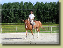 S&eacute;ance de dressage avec un moniteur professionnel