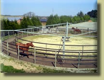 Le marcheur