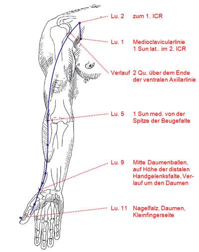 Akupunktmassage Lungenmeridian