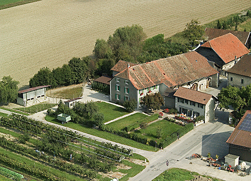 Vue aerienne