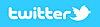 Fritz Dominik Buri auf twitter Link