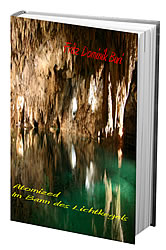 Buchcover Atomized - im Banne des Lichtkegels