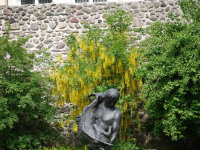 0535 Bernau