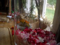 0715 Spreewald