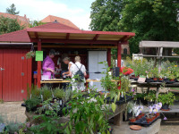 0809 Kräutergarten Kloster Lehnin
