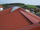 Halmburger, St. Wolfgang - Rib Roof