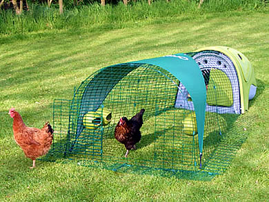 05_das_eglu_auslauf.jpg