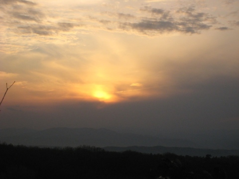 2536.resize_to.480x480.jpg