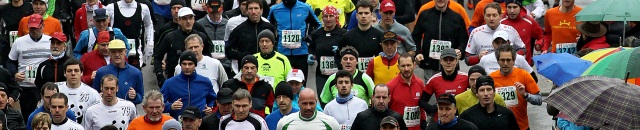 Bild2.jpg