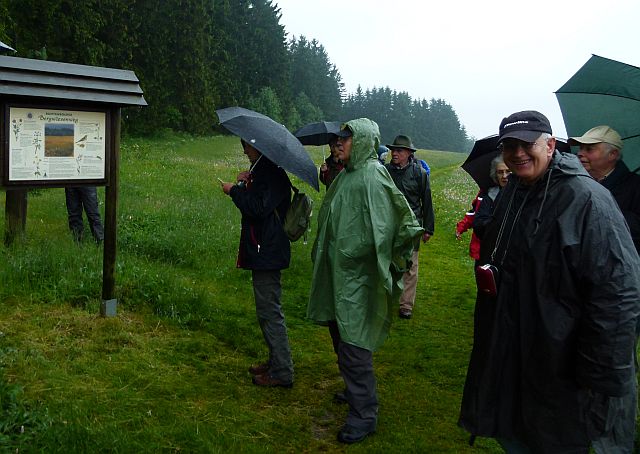 Infotafel Bergwiesenweg
