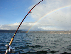 Seeforellen fischen