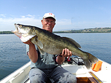 Zander