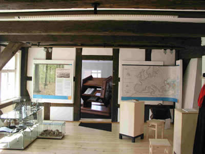 Der AUsstellungsraum