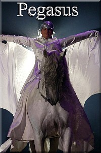 Pegasus - Petra Geschonneck