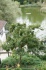 <b>DSC01617.JPG</b><br>