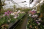 <b>DSC01712.JPG</b><br>