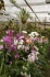 <b>DSC01713.JPG</b><br>