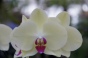 <b>DSC01715.JPG</b><br>