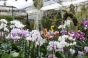 <b>DSC01717.JPG</b><br>