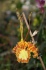 <b>DSC01719.JPG</b><br>