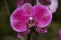 <b>DSC01721.JPG</b><br>