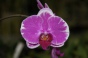 <b>DSC01727.JPG</b><br>