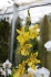 <b>DSC01730.JPG</b><br>