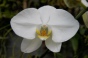 <b>DSC01738.JPG</b><br>