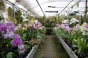 <b>DSC01741.JPG</b><br>