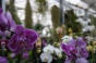 <b>DSC01744.JPG</b><br>