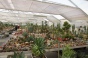 <b>DSC01746.JPG</b><br>