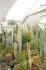 <b>DSC01750.JPG</b><br>