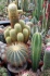 <b>DSC01761.JPG</b><br>