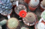 <b>DSC01762.JPG</b><br>