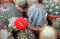 <b>DSC01764.JPG</b><br>