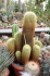 <b>DSC01766.JPG</b><br>