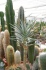 <b>DSC01767.JPG</b><br>
