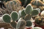 <b>DSC01769.JPG</b><br>