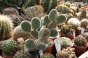 <b>DSC01770.JPG</b><br>