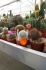 <b>DSC01771.JPG</b><br>