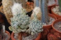 <b>DSC01773.JPG</b><br>