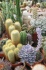 <b>DSC01774.JPG</b><br>